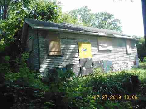 16737 Dolphin (4)_m.jpg